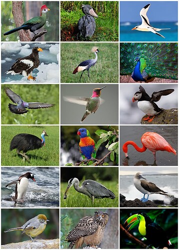 Bird_Diversity_2013 (1)