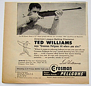 ted%20gun