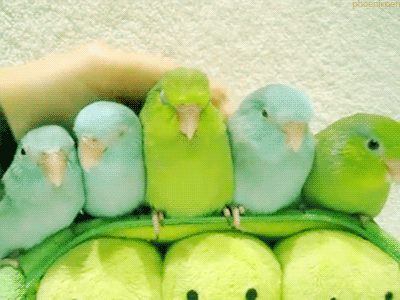 tumblr_mksnaaU4SW1qbj4t9o1_400