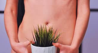 Beauty-pubic-hair-THS